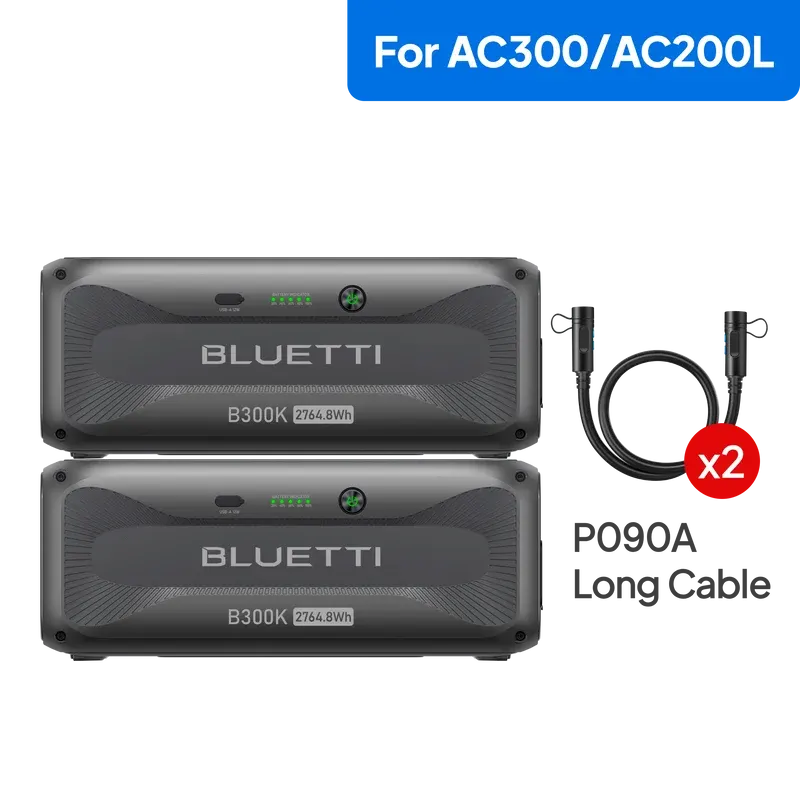 2*B300K for AC200L/AC300, image 1 of 4