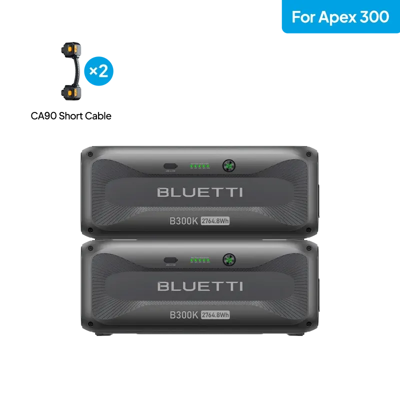 2*B300K for Apex 300, image 1 of 4