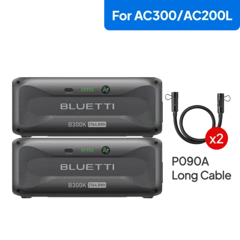 2*B300K for AC200L/AC300