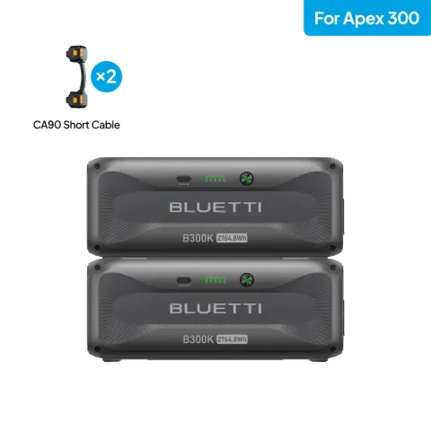 2*B300K for Apex 300